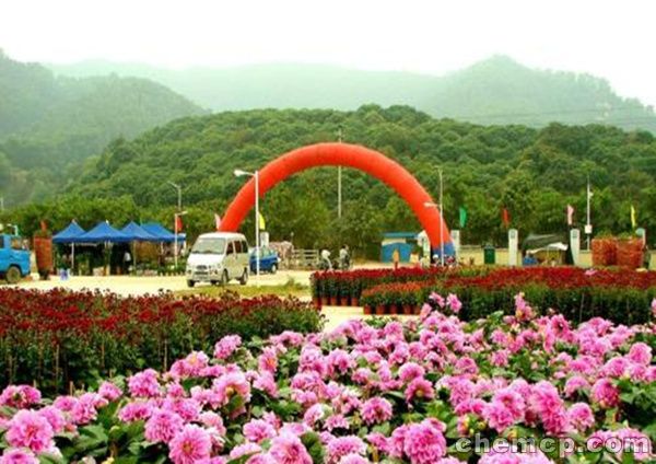 长春闻喜规格型号（闻喜新闻）