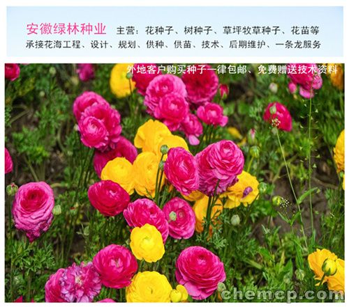长春闻喜规格型号（闻喜新闻）