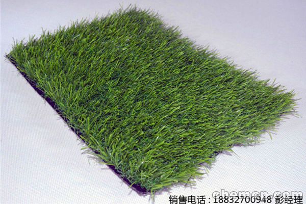 双桥学校人造草皮围挡批发价格(案例分享:琅琊:包河:鼓楼)
