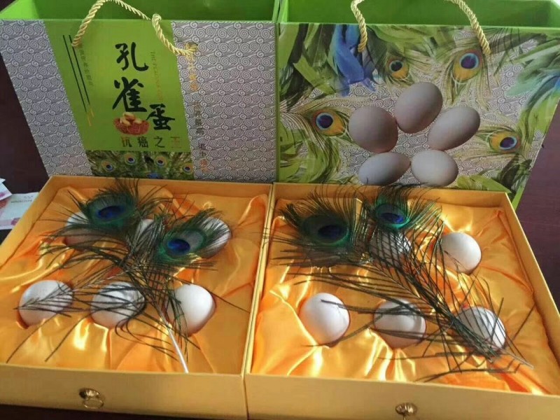 汝南孔雀养殖基地