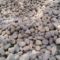 新闻：邢台天然鹅卵石滤料鹅卵石虑料承托层大型鹅卵石草坪点缀多少钱一吨