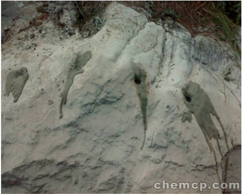 新闻:泰州水泥氯丁胶乳厂家直销钦州资讯