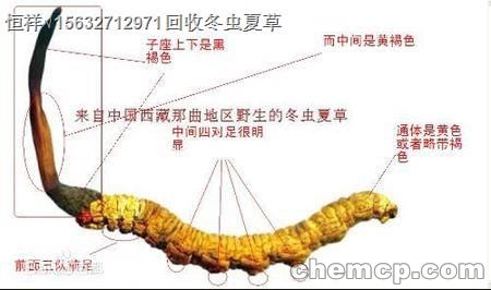 威海回收冬虫夏草在XVI“统一价格”回收虫草
